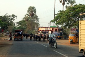 Indian traffic/roadblock - no problem!