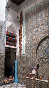 Spice Co-Op in Fes - Look at that Snakeskin!