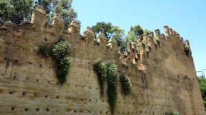 Wall in Fes