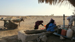 Filling Water Jugs at the Oasis
