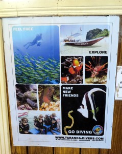 Tabanka Divers - where I'm doing my class