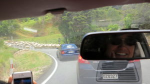 New Zealand Road Hazards...