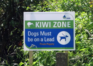 New Zealand - Kiwi Zone