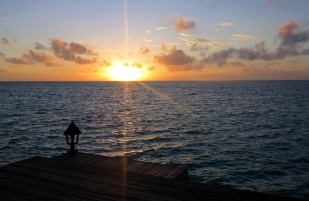 Divine Maldivian R & R