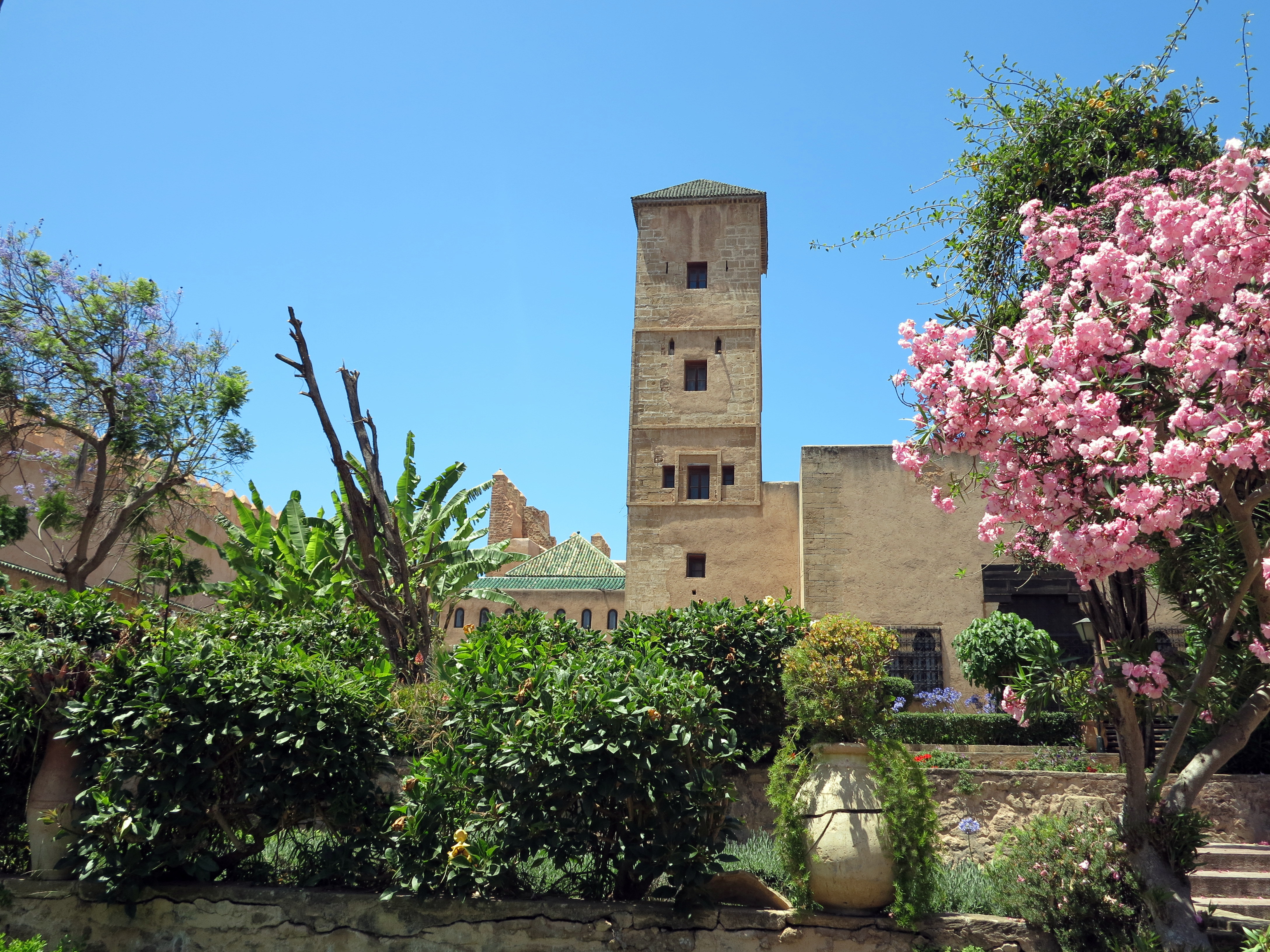2014.6.3 IMG_4233 Garden in Rabat, Morocco 4352x3264-001