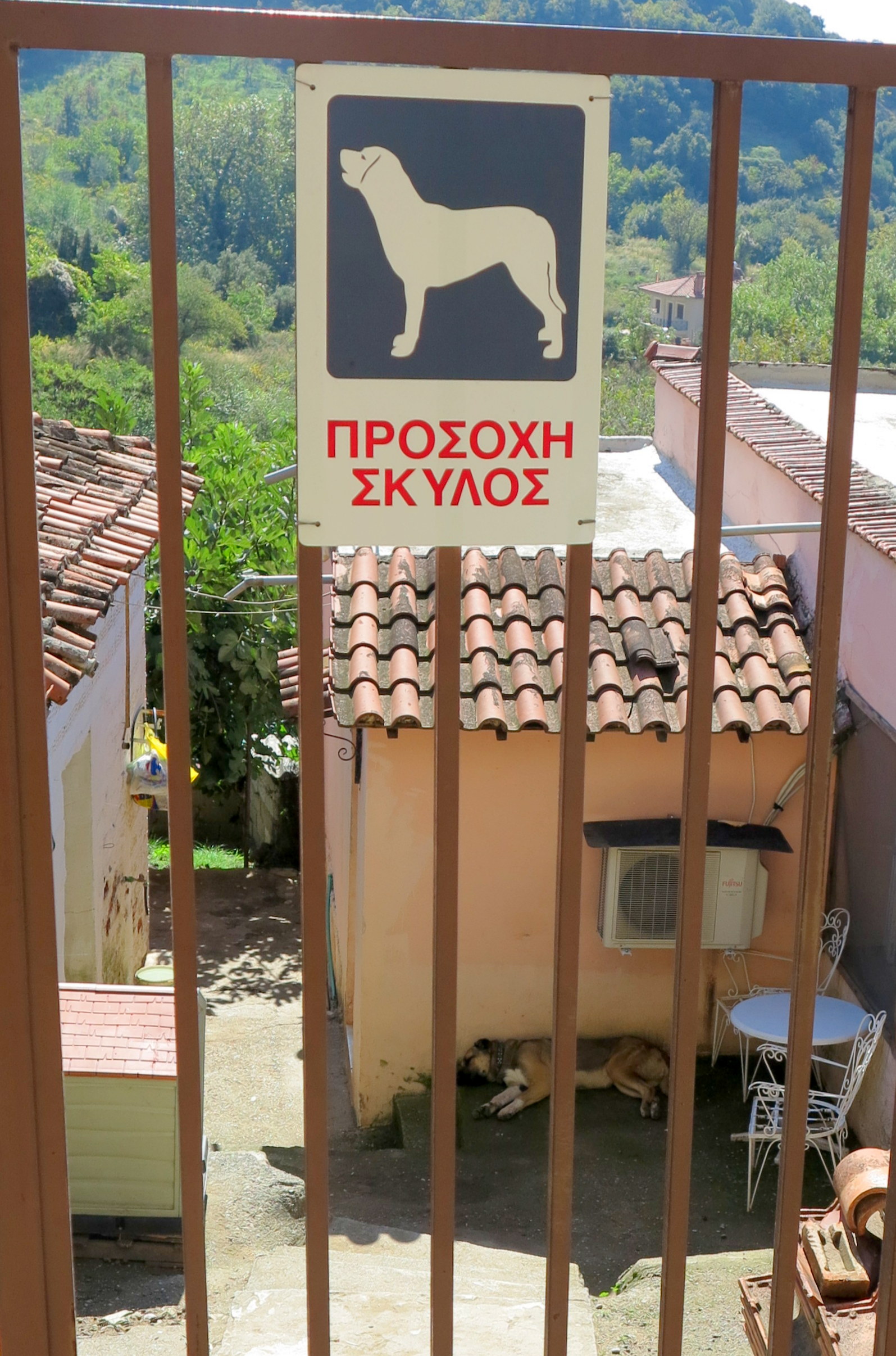 Beware of the Dog Sign, Meteora