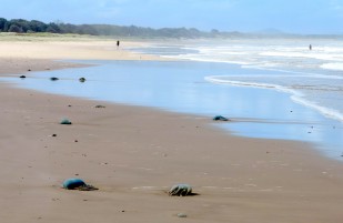 On Libraries and Lap Lanes