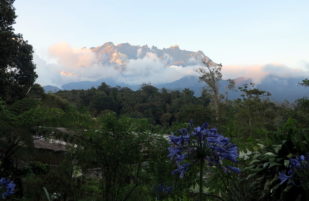 Mt. Kinabalu 1, Shantha 0