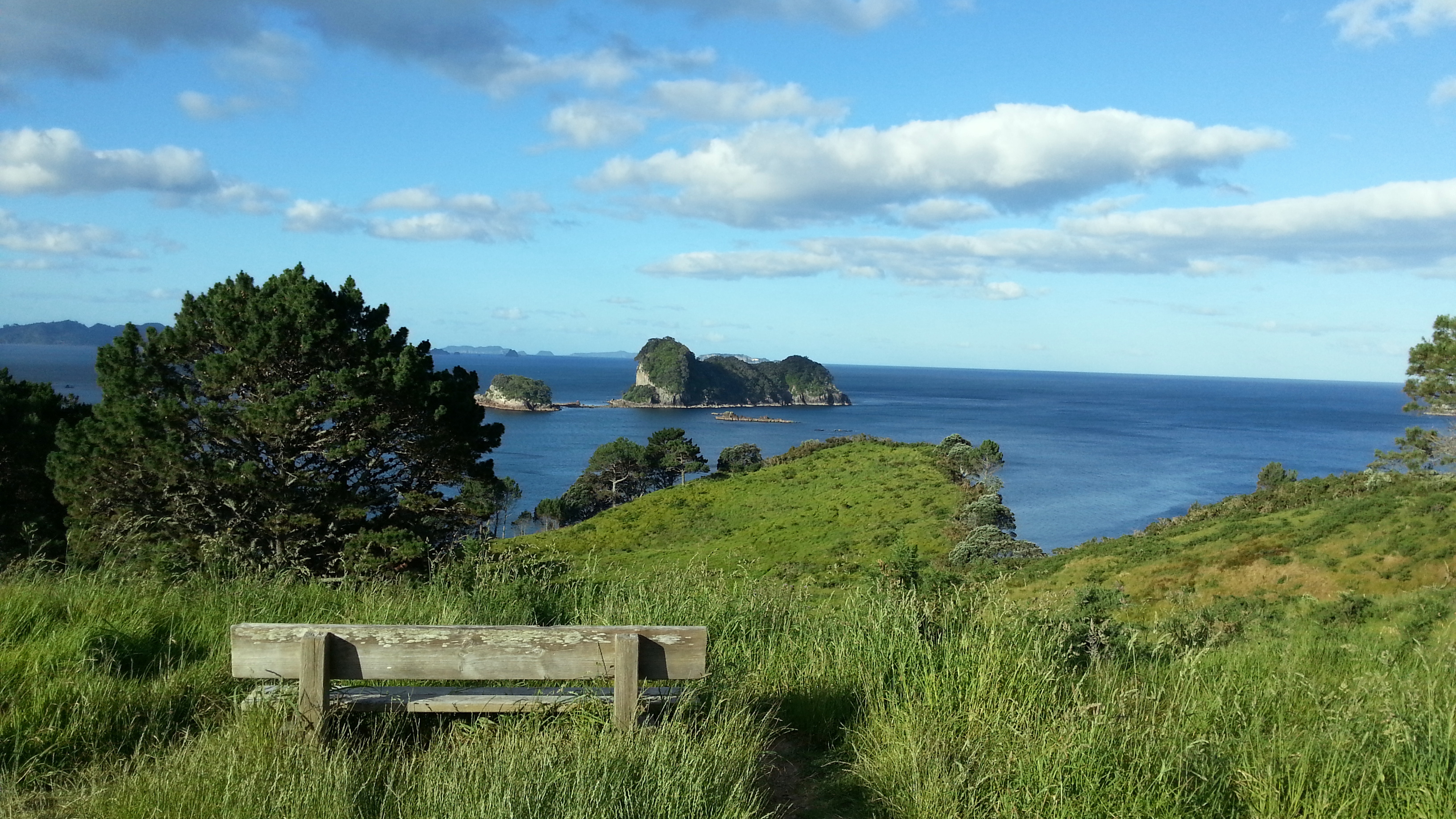 view-along-bluffs-on-hike-to-cathedral-cove-cormandel-penninsula-n-island-new-zealand