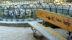 Let Them Free - park bench by Turtles, National Park, Athens, Greece; September 2014.
