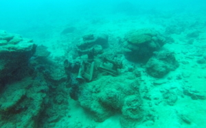 Sewing Machines under the Sea, at Needle Point (perhaps), Coral Gardens, Savai'i, Samoa; April 2015.