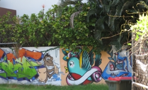 Grafitti wall, Darwin, NT, Australia; January 2016.