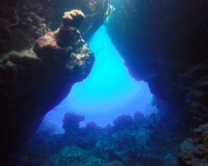 Cave at Dangerous Reef, Red Sea, Egypt; June 2016.