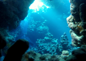 Cave in the Red Sea, diving with Blue O Two Liveaboard out of Hurghada, Egypt; June 2016.