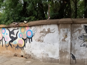 Wall in Bangalore, India; July 2017