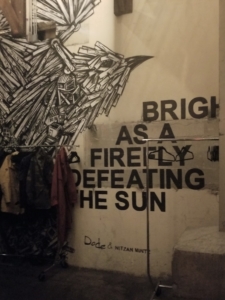 Bright as a Firefly... Brooklyn Cider House, Brooklyn, NYC; April 2019.