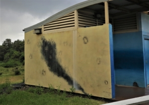 Amazing Art of Faces and Hands in Smoke near South Valla Beach, NSW, Australia; February 2015.