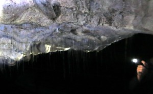 2014.12.1 Gloworms-and-Silk-Waitomo-Caves-Waitomo-New-Zealand