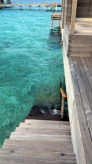 My-Stairsteps-to-the-Sea-Gangehi-Maldives-2448x4352-001