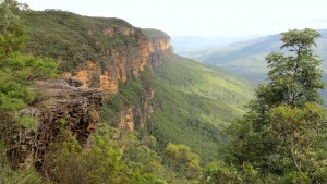 2015.1.12 Blue Mountains near Wentworth Falls, NSW, Australia 4035x2275 4035x2275.12 IMG_5329 Blue Mountains, NSW, Australia  