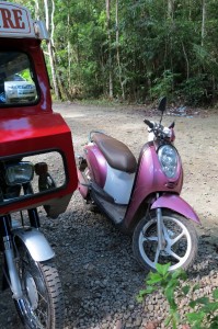 2015.11.30 pink-motorbike-Tarsier-Sanctuary-Bohol-Philippines   