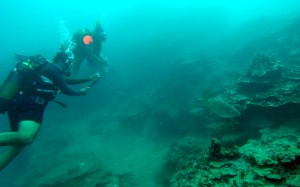 2015.4.4 Olaf, Stef, and Turtle, Coral Gardens, Savai'i, Samoa 