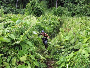 2015.4.7 Climbing stairs of pyramid, Pulemelei, Savai'i, Samoa 