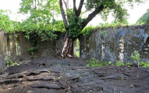 2015.4.7 Church at Saleaula Lava Field, Savai'i Samoa 