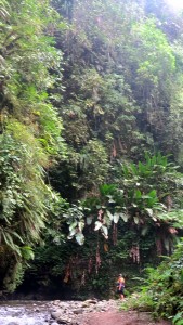 2015.7.12 SJ at Milennium CAve, Espiritu Santo, Vanuatu